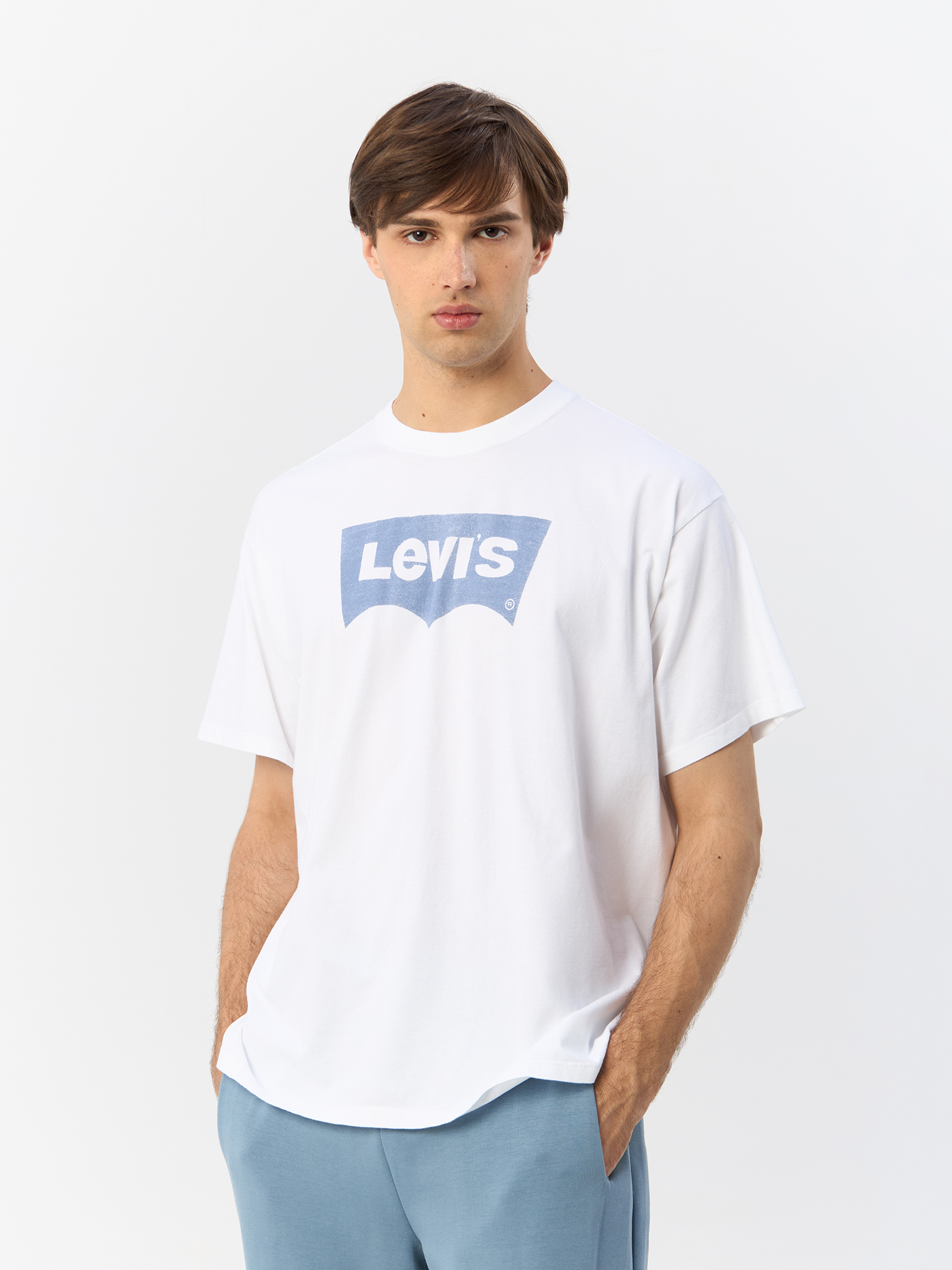 

Футболка мужская Levi's Vintage Fit Graphic Tee 87373-0212 белая S, Белый, Vintage Fit Graphic Tee