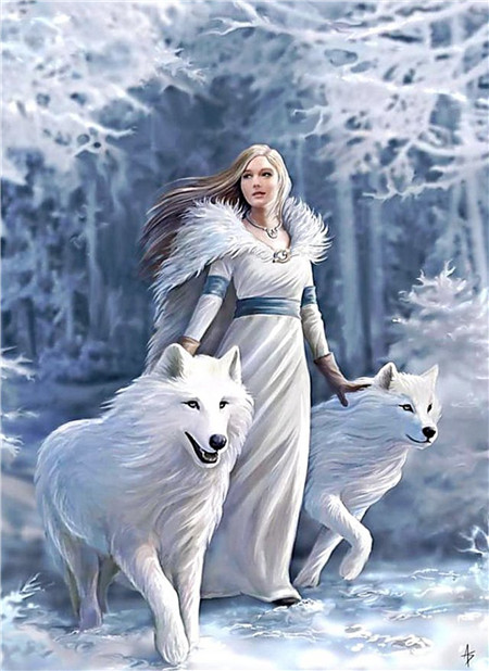 фото Алмазная мозаика стразами ripoma девушка с волками 00115456 50х65 см