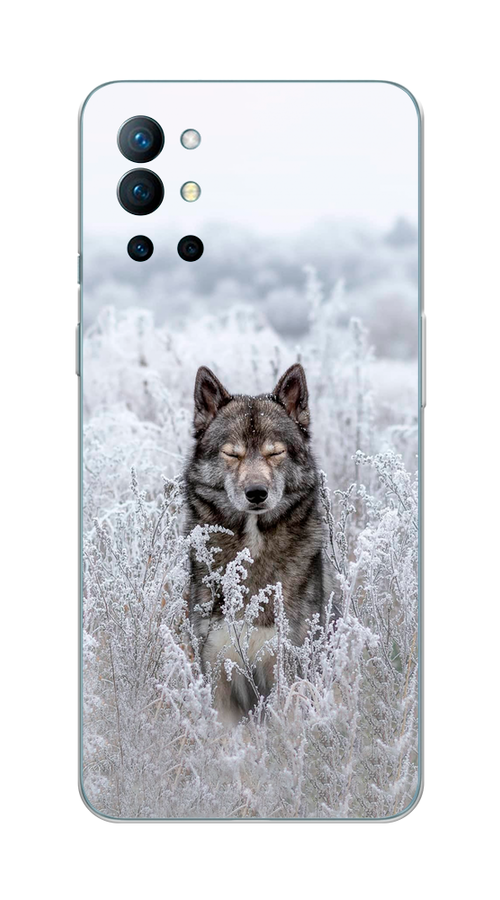 

Чехол Awog на OnePlus 9R / ВанПлас 9R "Волк в поле", Белый;черный, 151650-1