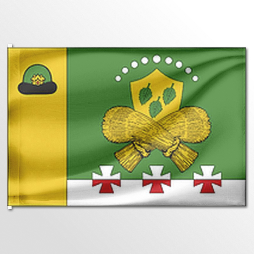 

Флаг ЦТП ФЕНИКС Благовского сельского поселения 135x90 см, 8073-135x90