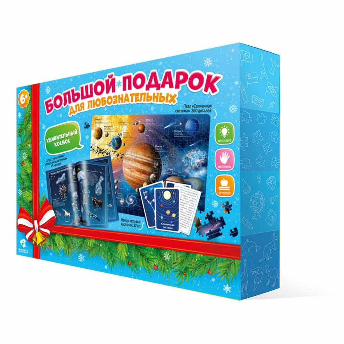 

Подарок новогодний Удивительный космос ГеоДом