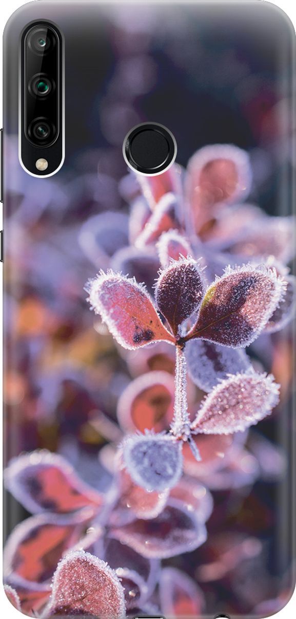 

Чехол на Honor 9C/Huawei P40 Lite E "Иней на листочках", Розовый;черный, 2781