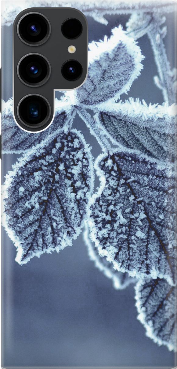 

Чехол на Samsung Galaxy S23 Ultra с принтом "Замерзшие листочки", Белый;синий, 158333