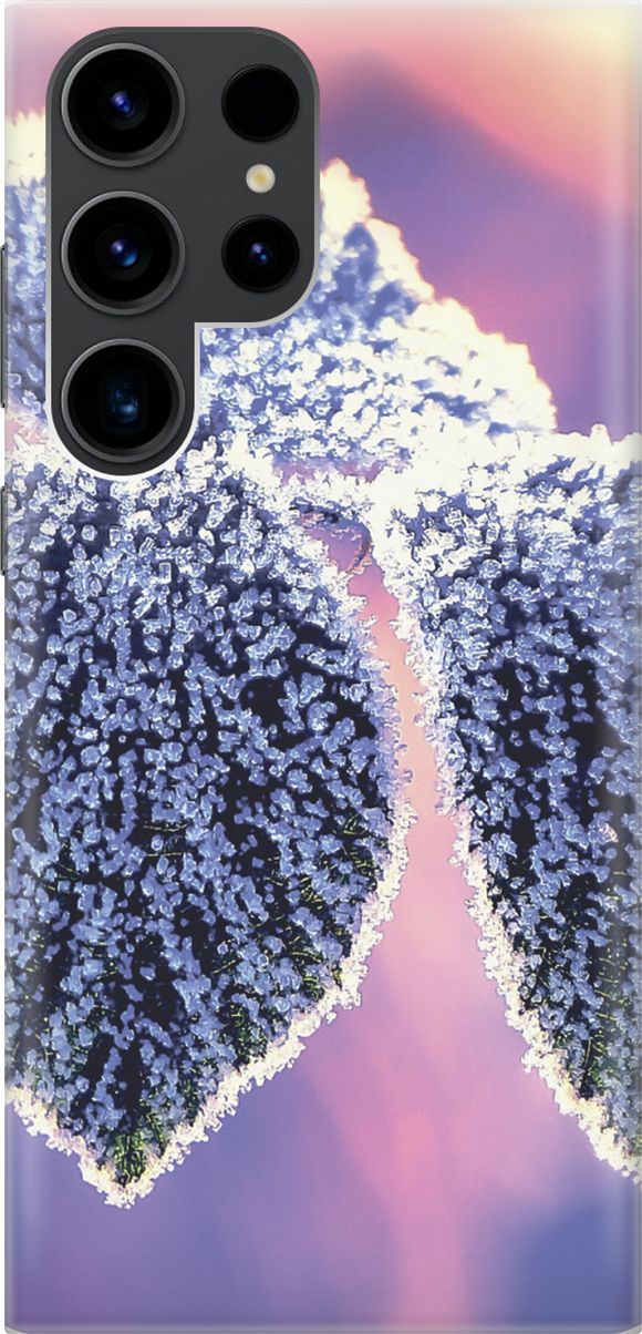 

Чехол на Samsung Galaxy S23 Ultra "Замерзшие листики", Белый;фиолетовый, 158333