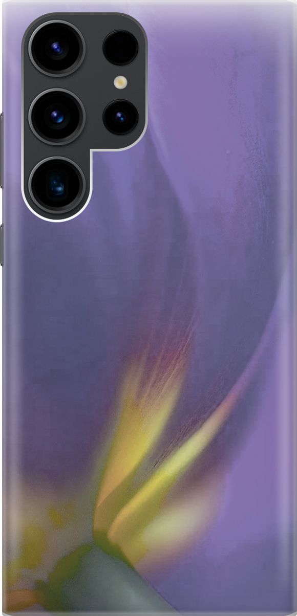 

Чехол на Samsung Galaxy S23 Ultra с принтом "Фиолетовая фиалка", Желтый;фиолетовый, 158336