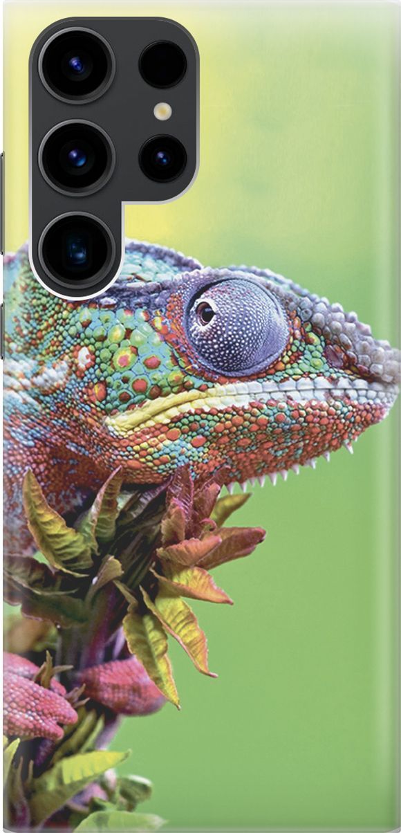 

Чехол на Samsung Galaxy S23 Ultra "Разноцветный хамелеон", Желтый;зеленый, 158335