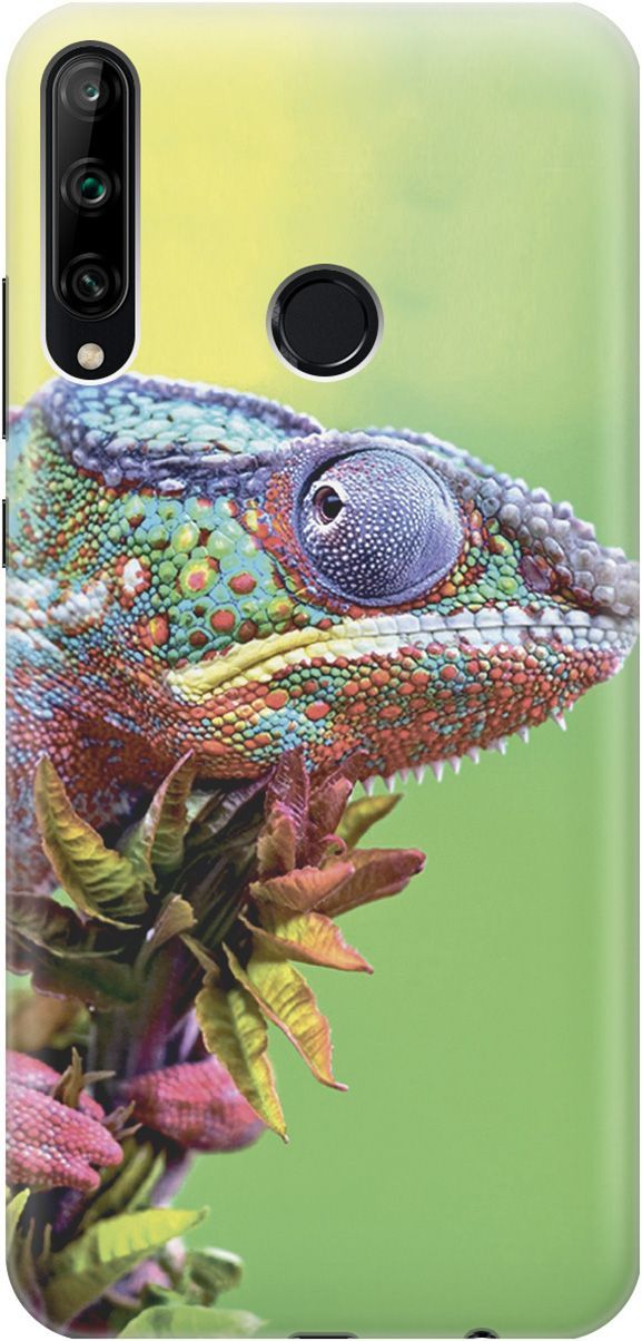 

Чехол на Honor 9C/Huawei P40 Lite E "Разноцветный хамелеон", Желтый;зеленый, 2228