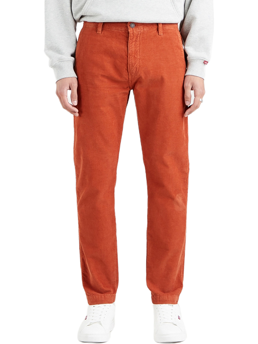 

Брюки мужские Levis 17196-0049 бежевые 33/30, 17196-0049