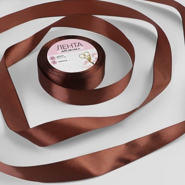 

Лента атласная Арт Узор 25 ммx23 ± 1 м, цвет тёмно-коричневый №74, 2 штуки