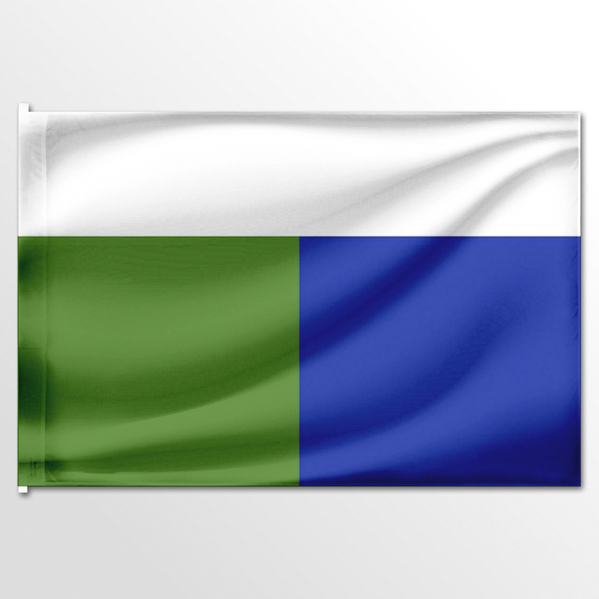 

Флаг ЦТП ФЕНИКС Шербакульского района 135x90 см, 2096-135x90