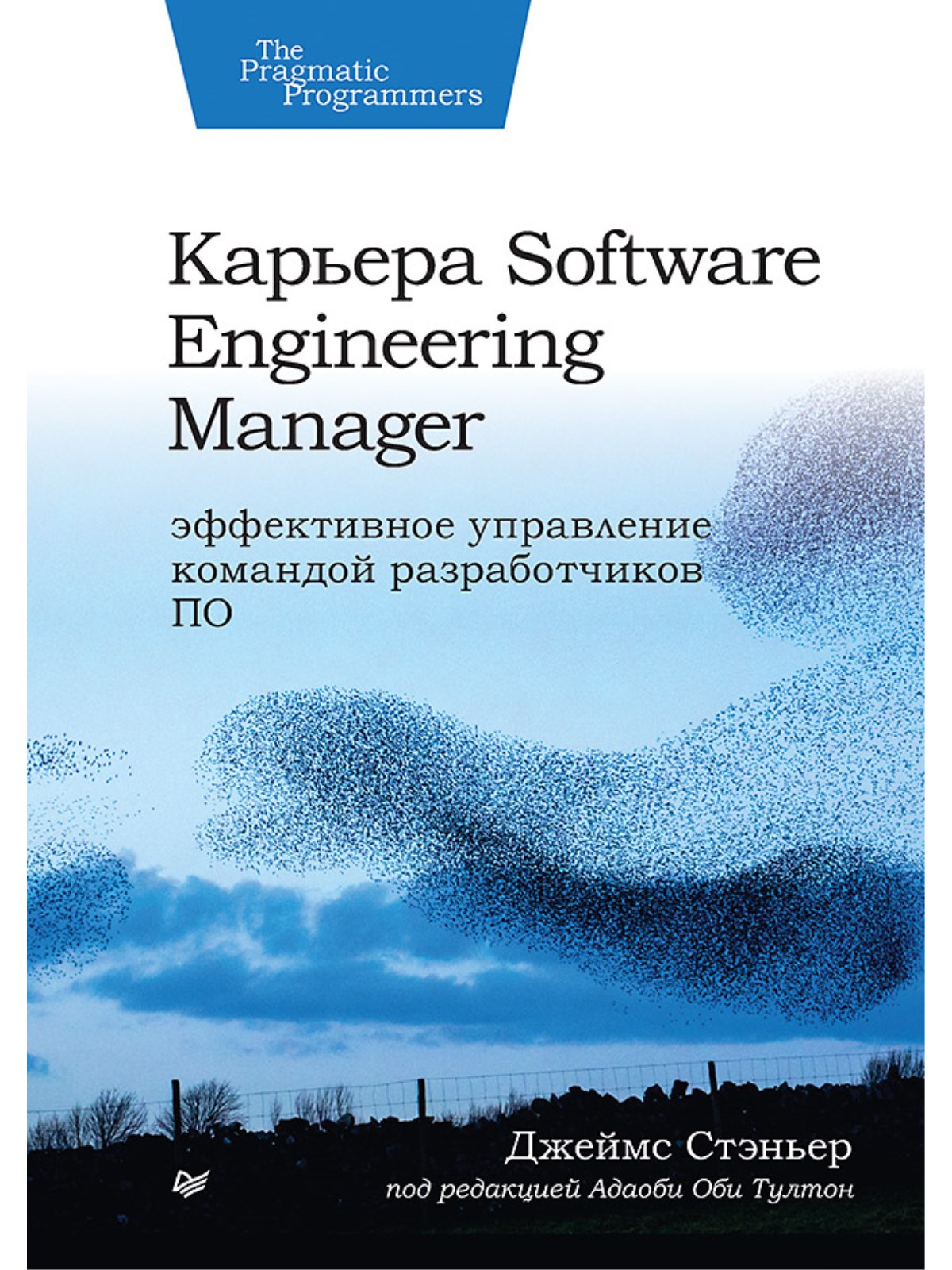 

Карьера Software Engineering Manager. Управление командой разработчиков ПО