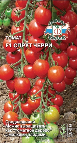 

Семена томат СеДеК Спрут F1 1 уп.