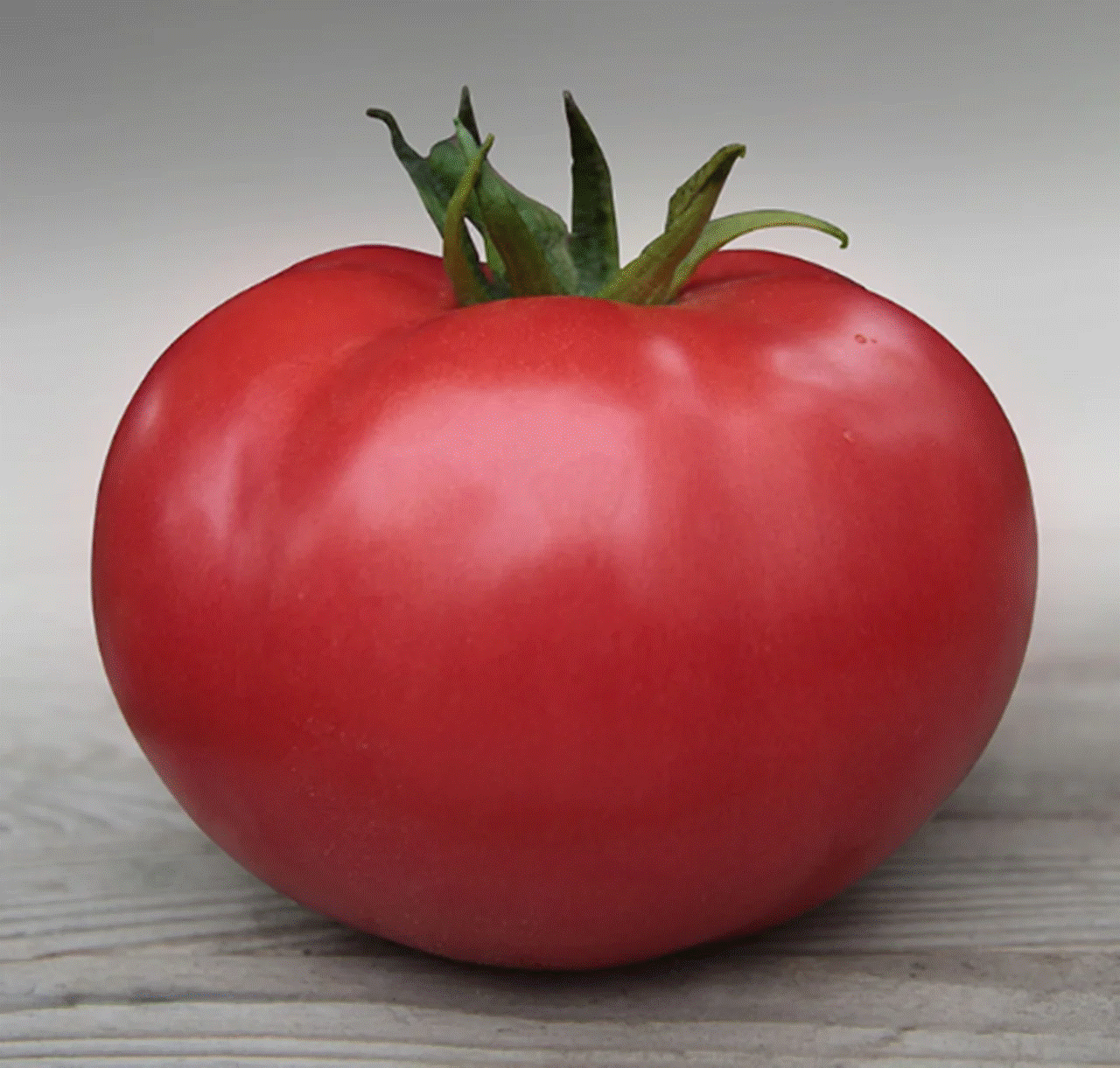 Семена томат Планета Садовод Бобкат (элит) F1 1 уп.