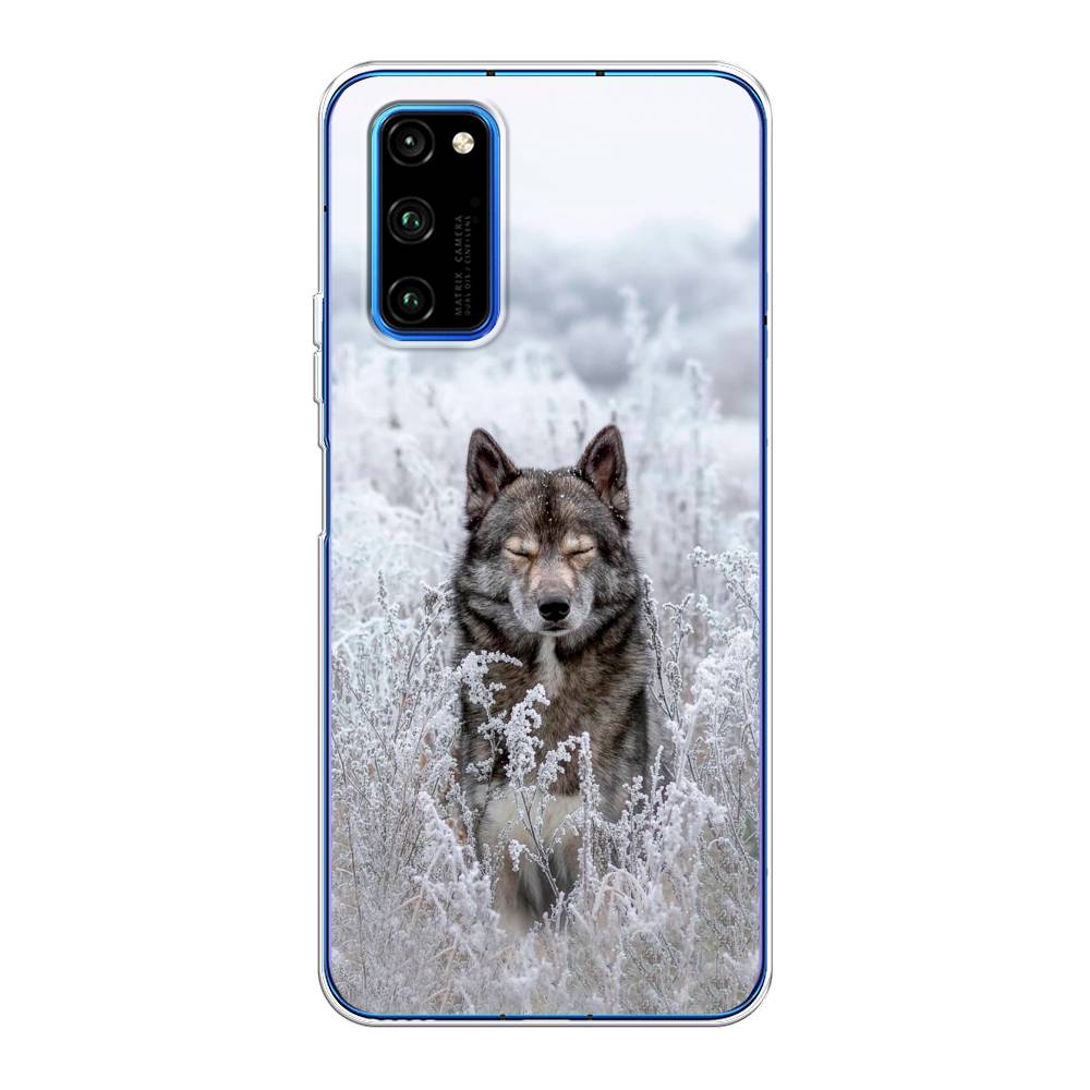 

Чехол Awog на Huawei Honor V30 Pro "Волк в поле", Белый;черный, 611450-1