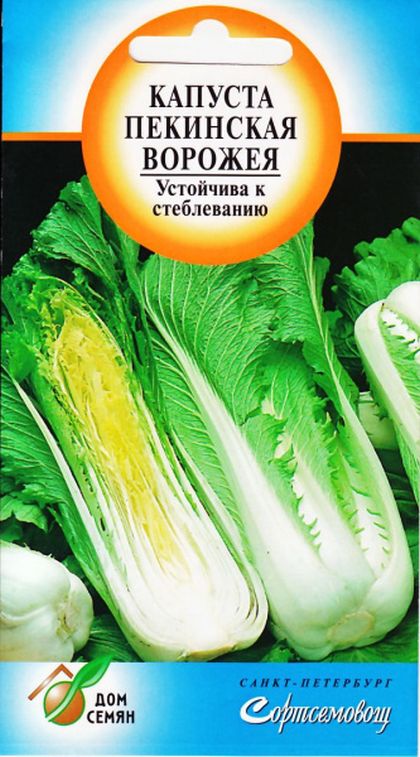 

Семена капуста пекинская Ворожея 30368 1 уп.