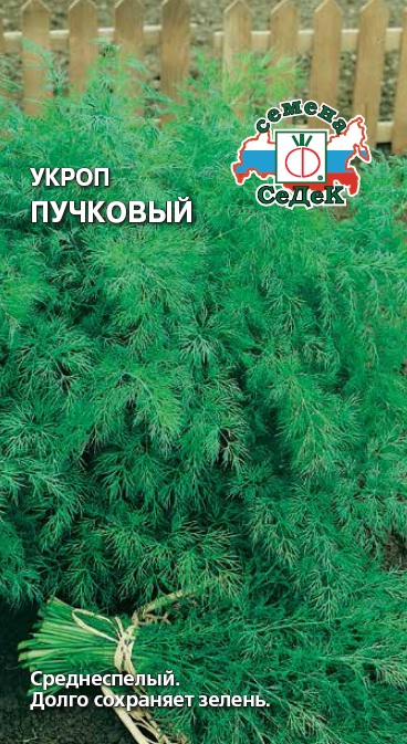 

Семена укроп Пучковый СеДеК 1560