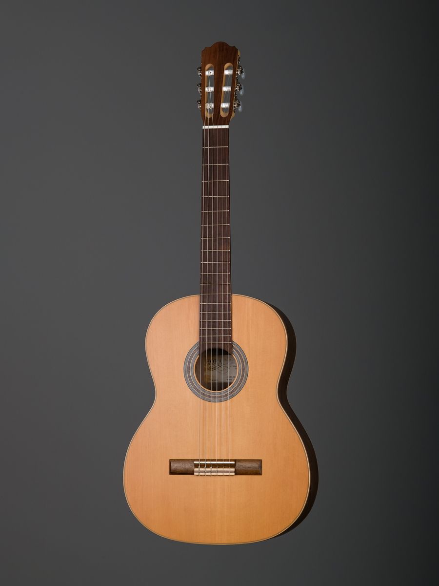 Акустическая гитара Hora SS300 Eco Walnut