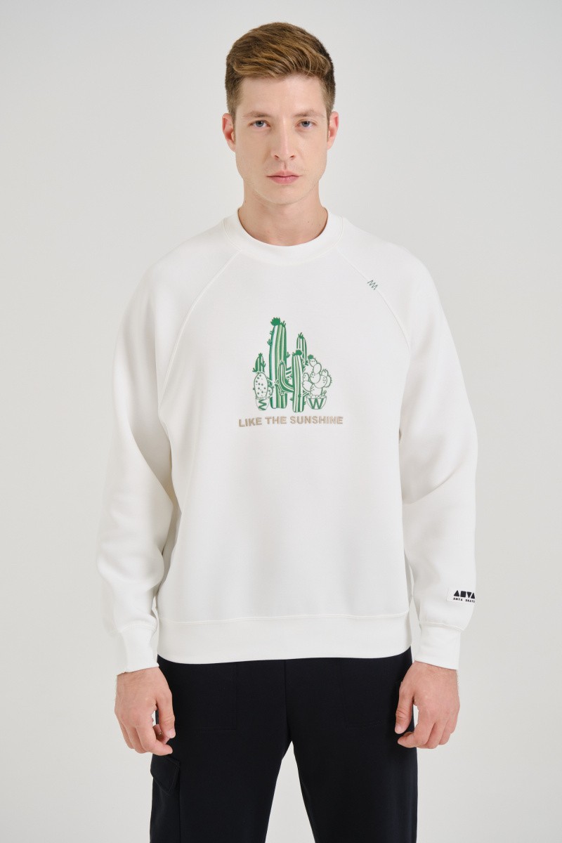 Свитшот унисекс Anta 872428701 Skate Culture SUNSHINE CACTUS A-STRETCH SHAPE бежевый XS