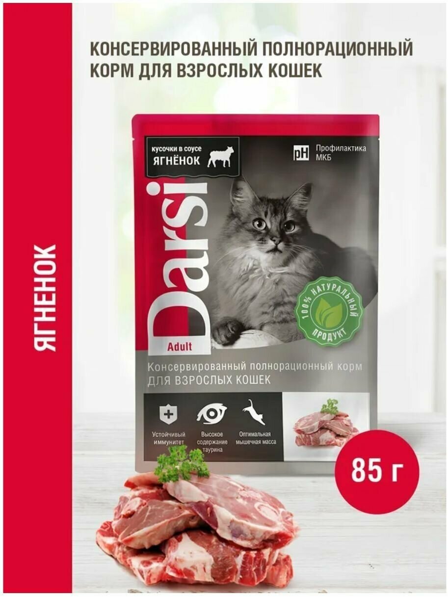 

Влажный корм для кошек Darsi, ягненок в соусе, 85 г