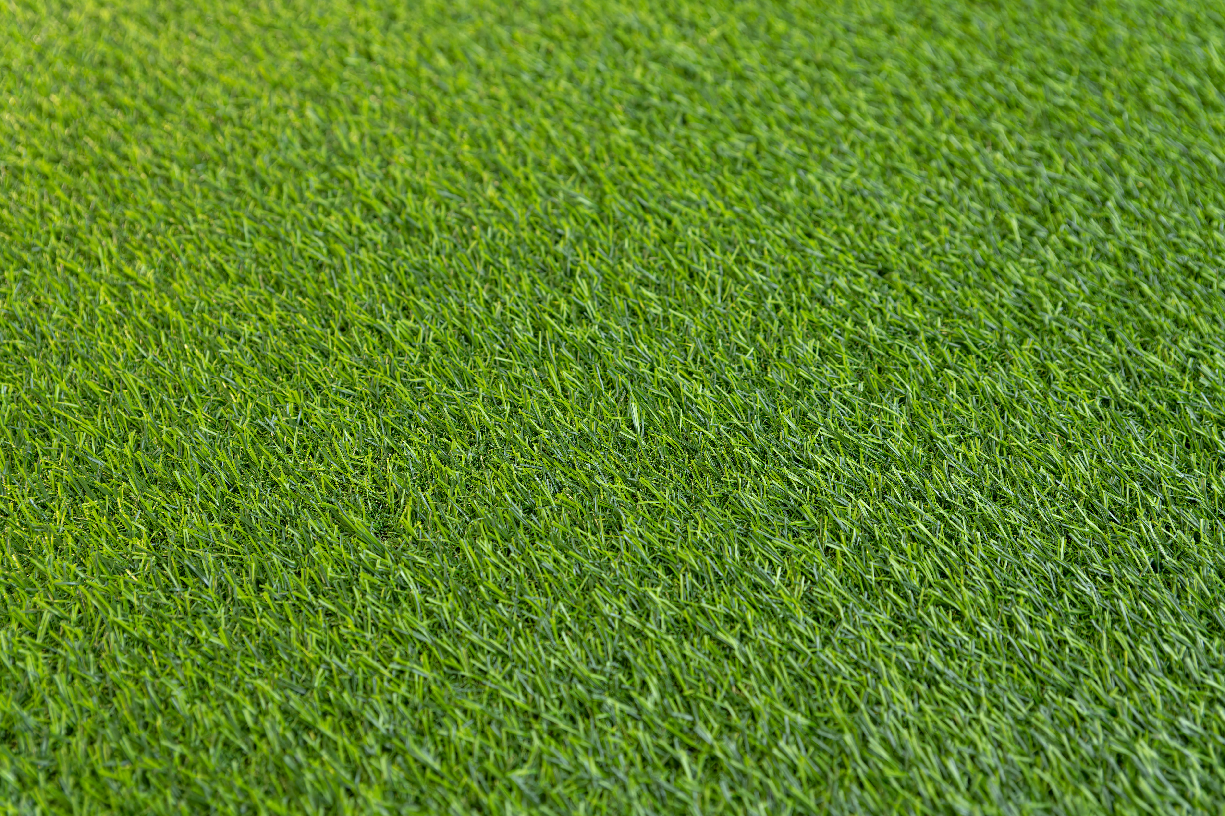 

Искусственный газон CCGRASS Fantas 18мм 200x100см, Зеленый, Fantas 18
