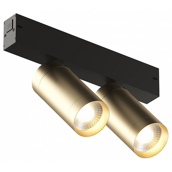 

Трековый светильник Denkirs Smart DK8012-BG, Smart DK8012-BG