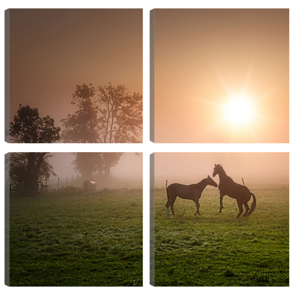 

Большая модульная картина Лошади в поле на рассвете. PR-877 104x104см