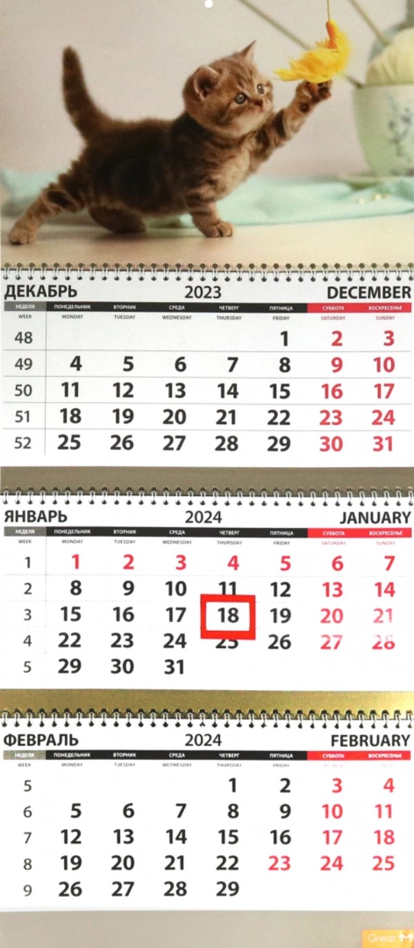 Календарь Квартальный 2024 год Котята (игра) КТ-2438