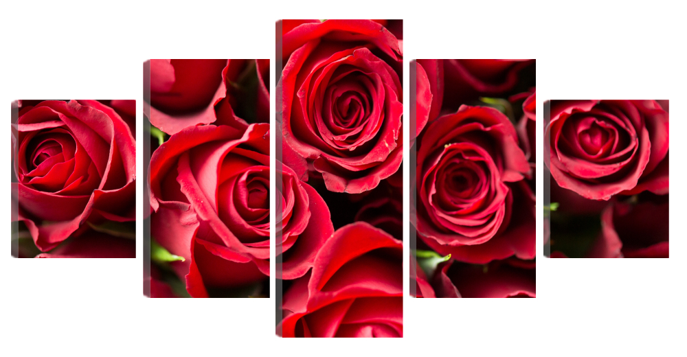 

Большая модульная картина Красные розы. В спальню, гостиную, зал. PR-656 (187x90см)