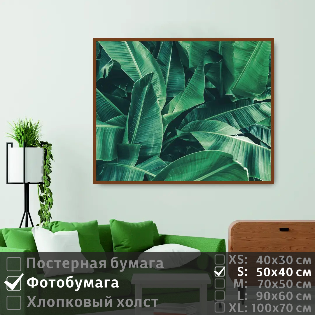 

Постер на фотобумаге ПолиЦентр Тропические банановые листья 50х40 см, ТропическиеБанановыеЛистья