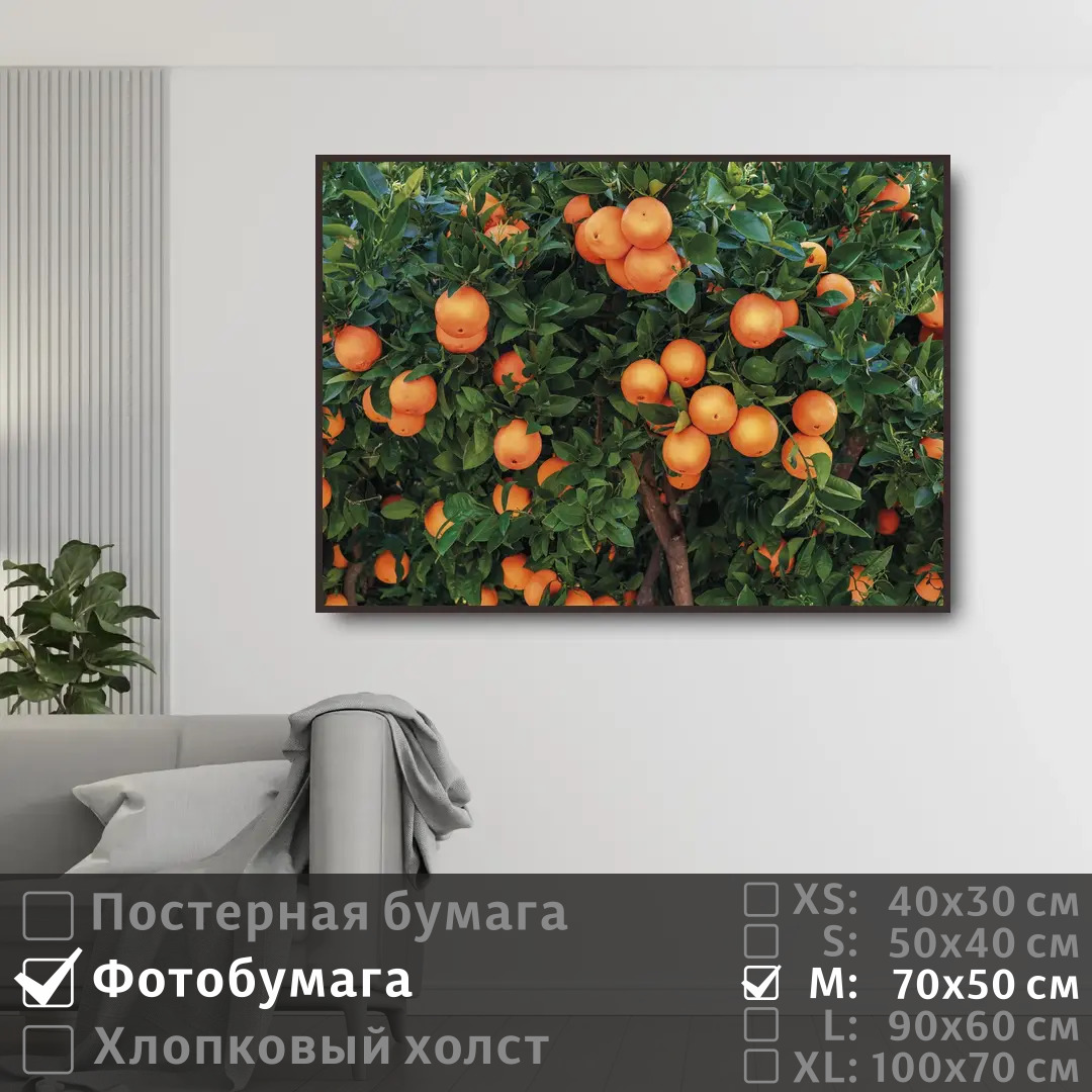 

Постер на фотобумаге ПолиЦентр Испанские апельсины 70х50 см, ИспанскиеАпельсины
