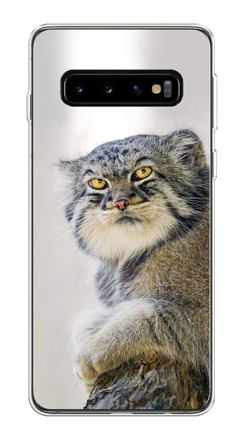 

Чехол на Samsung Galaxy S10 Plus "Кот манул 1", Серый;белый;желтый, 27150-1