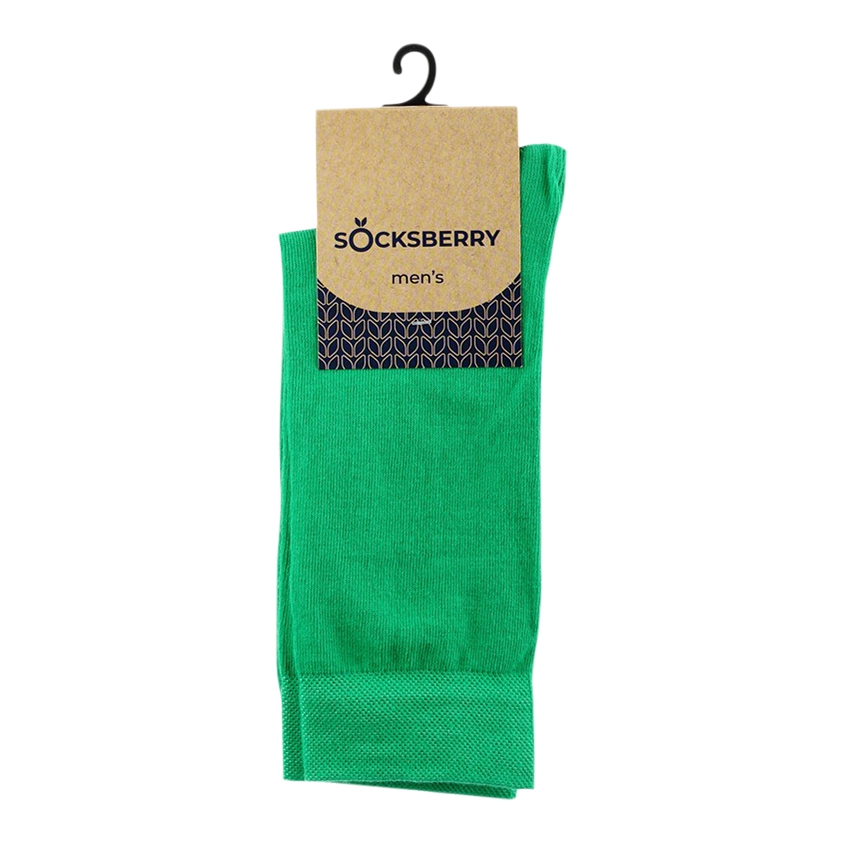 Носки мужские Socksberry зеленые 29