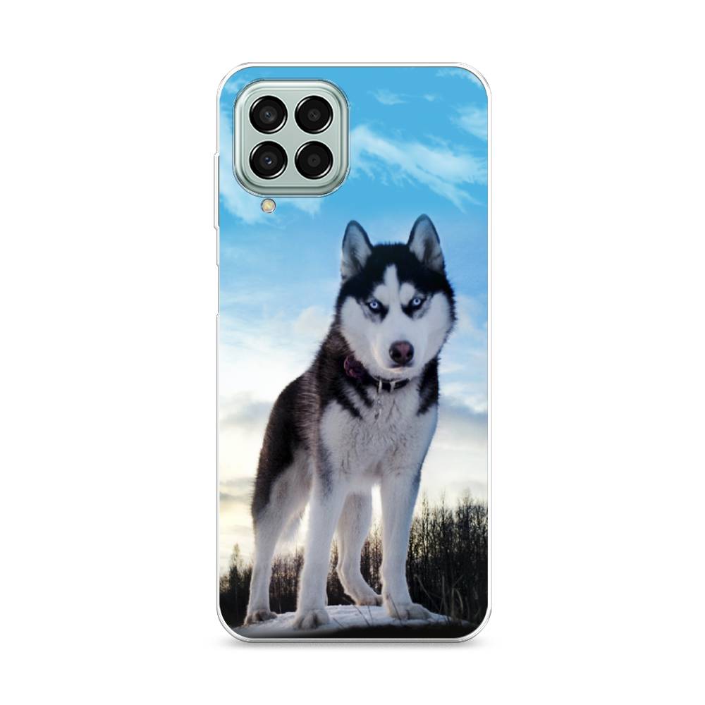 

Чехол Awog на Samsung Galaxy M33 / Самсунг M33 "Хаски 3", Разноцветный, 2105650-2