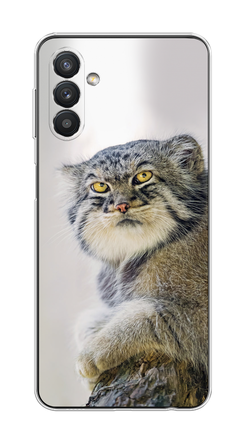 

Чехол на Samsung Galaxy A13 5G/A04s "Кот манул 1", Серый;белый;желтый, 2104150-1