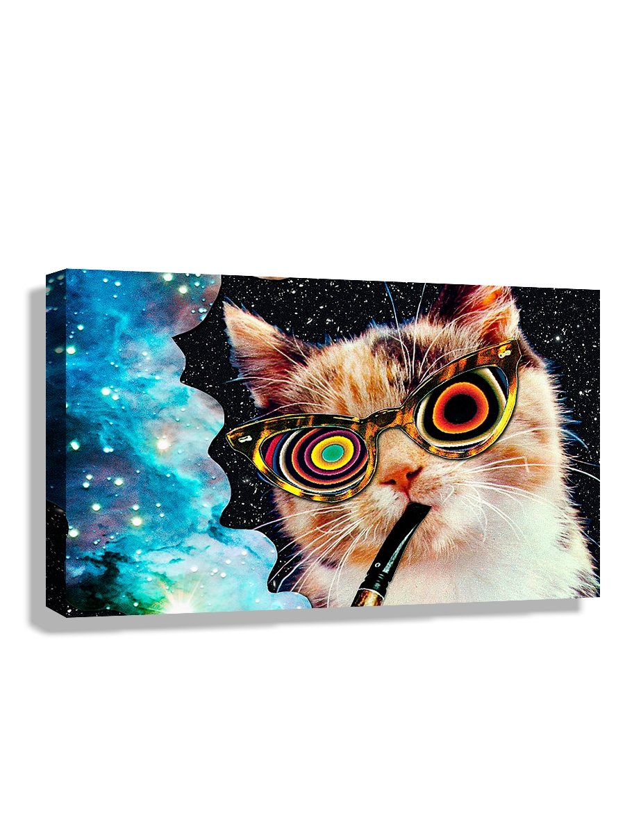 

Картина DRABS Космокот