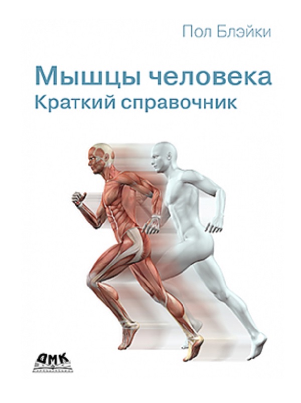 

Мышцы человека. Краткий справочник