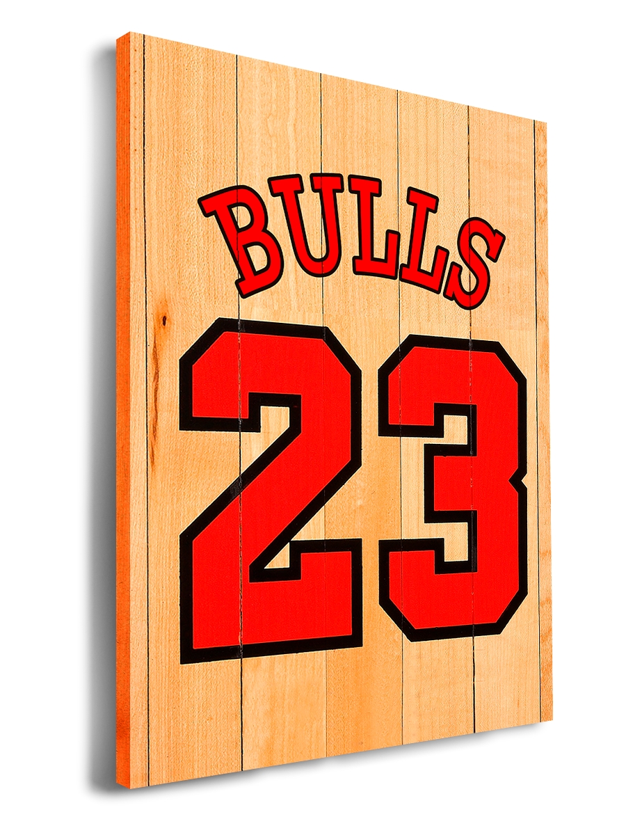 

Картина DRABS 90x60 см на холсте BULLS 23