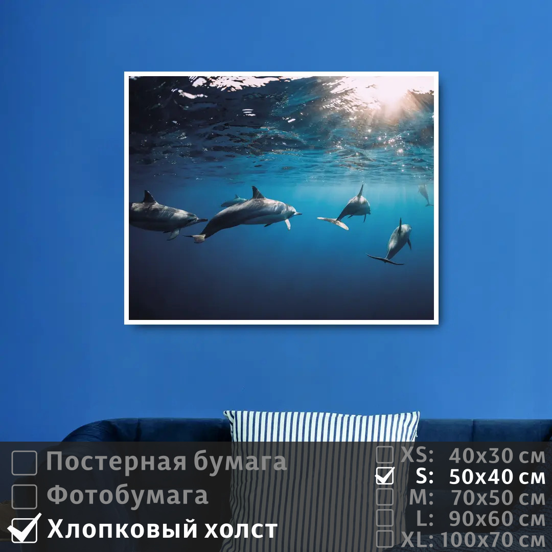 

Постер на холсте ПолиЦентр Дельфины под водой плывут к солнечным лучам 50х40 см, ДельфиныПодВодойПлывутКСолнечнымЛучам