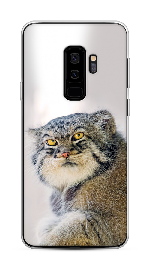 

Чехол на Samsung Galaxy S9 Plus "Кот манул 1", Серый;белый;желтый, 25850-1