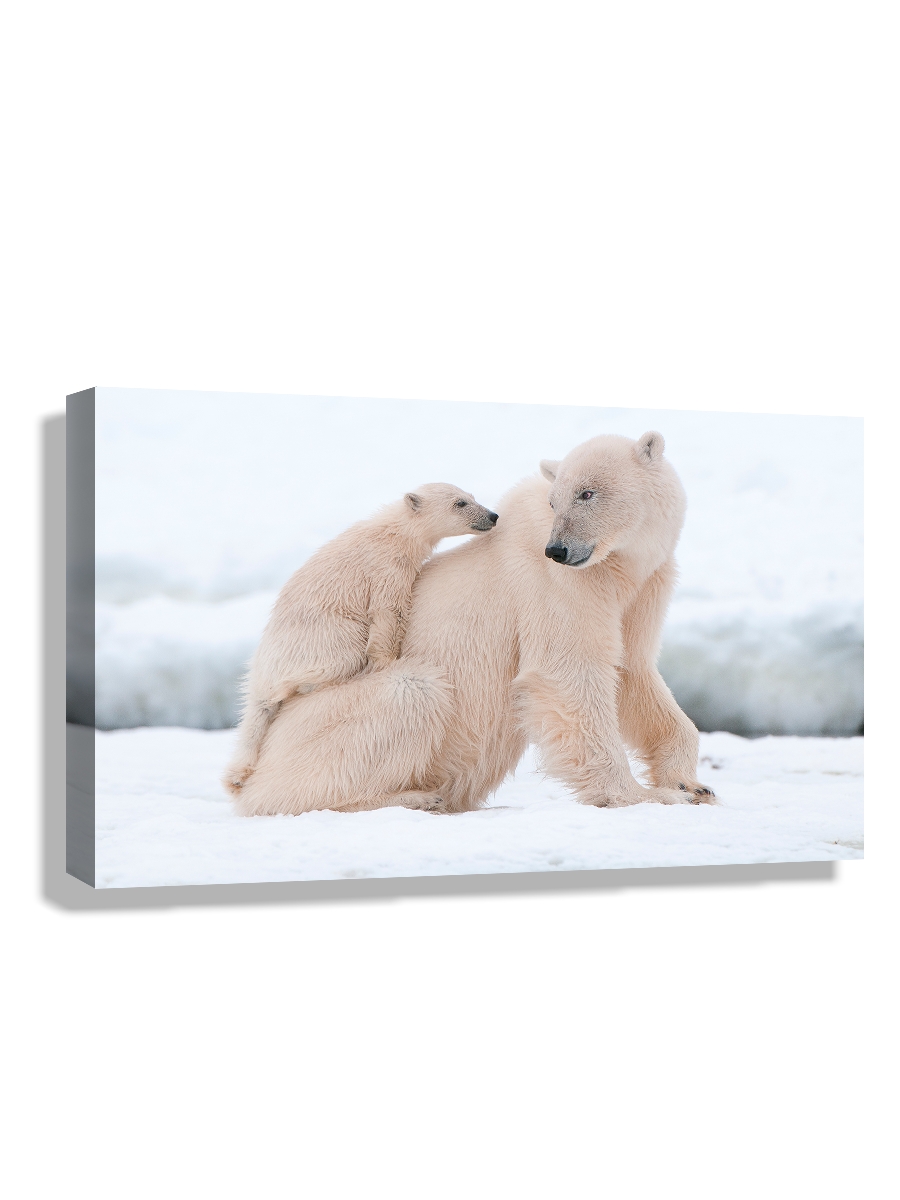 

Картина DRABS 90x60 см на холсте Белый медведь с детенышем