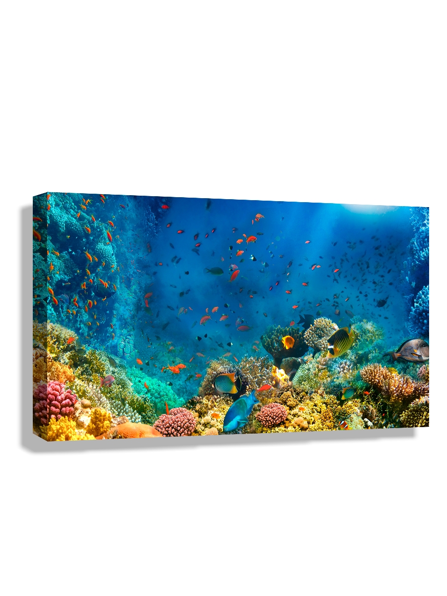 

Картина DRABS 90x60 см на холсте Коралловый риф в Красном море Египет