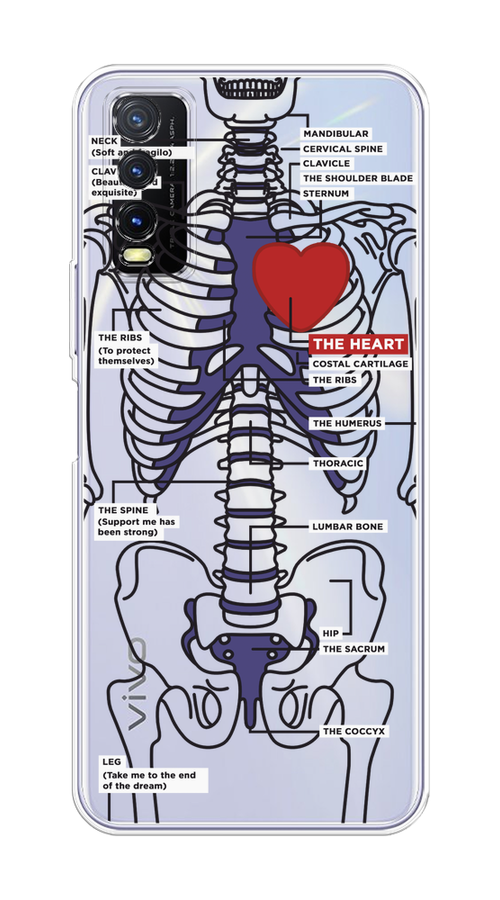 

Чехол на Vivo Y20 "Скелет человека", Прозрачный;синий;красный, 263650-1