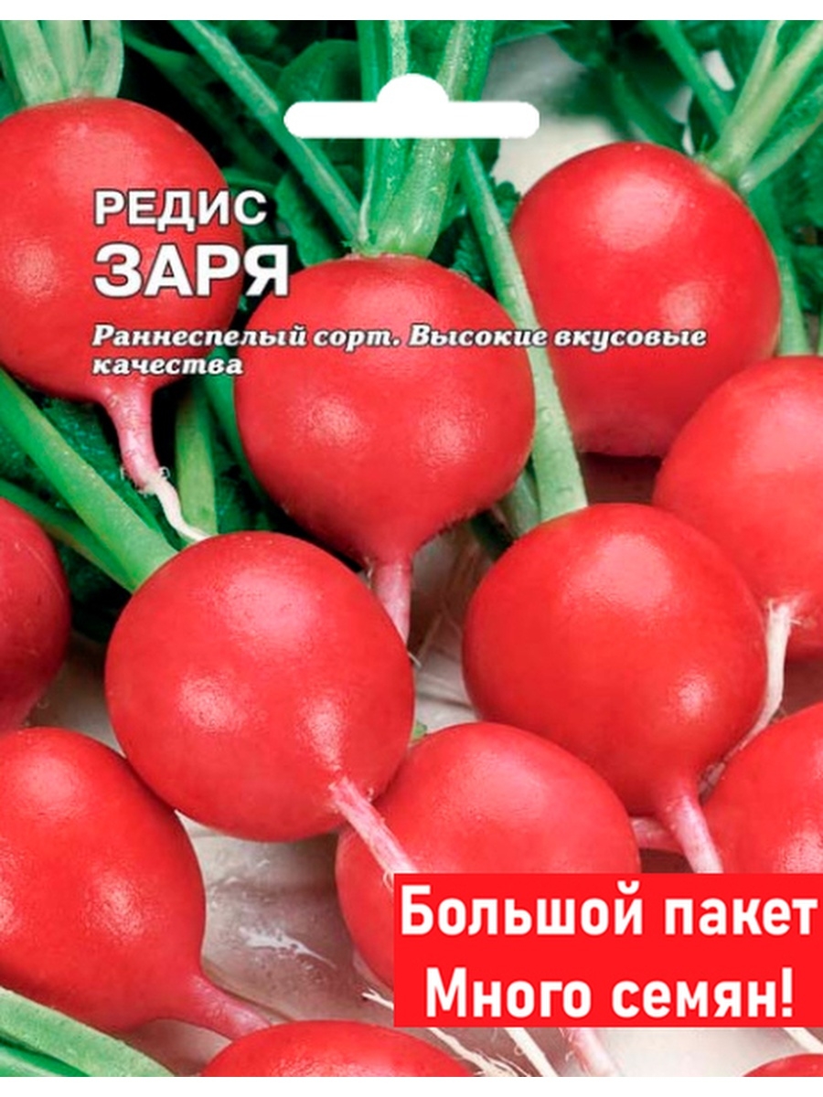 Семена редис Заря Сембат 20320 600011003975