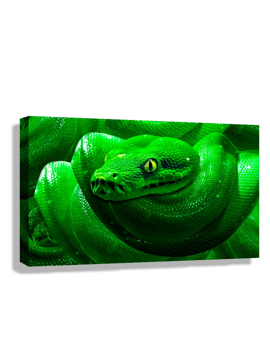 

Картина DRABS 90x60 см на холсте Змей