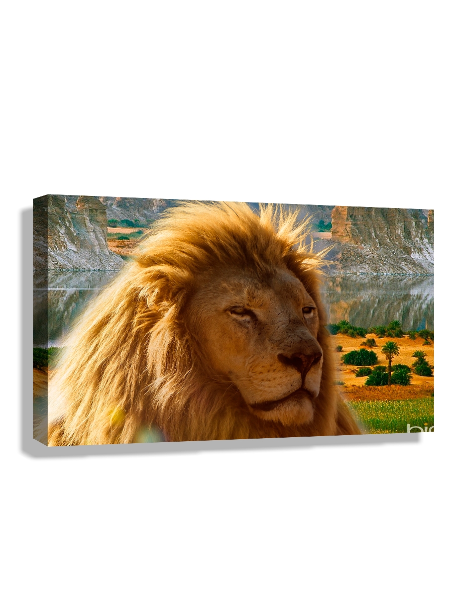 

Картина DRABS 90x60 см на холсте Гордый лев