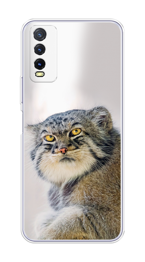 

Чехол на Vivo Y20 "Кот манул 1", Серый;белый;желтый, 263650-1