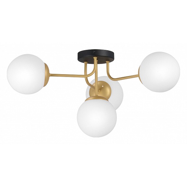 

Vitaluce V3999-8/4PL, V3999-8/4PL