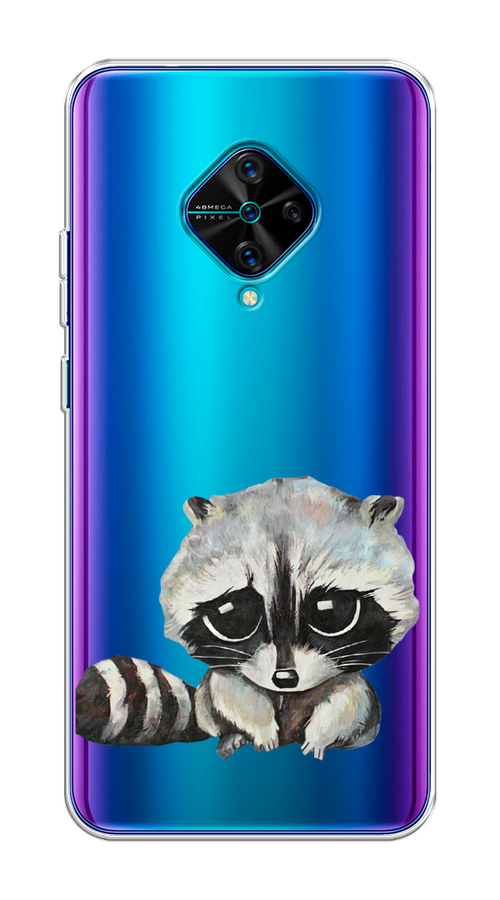 

Чехол на Vivo V17/Y9s "Большеглазый енот", Серый;черный;прозрачный, 261550-1