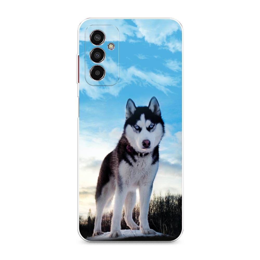 

Чехол Awog на Samsung Galaxy M13 / Самсунг M13 "Хаски 3", Разноцветный, 2106850-2