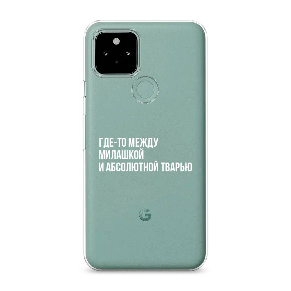 

Чехол Awog на Google Pixel 5A "Почти милашка", Разноцветный, 271050-6